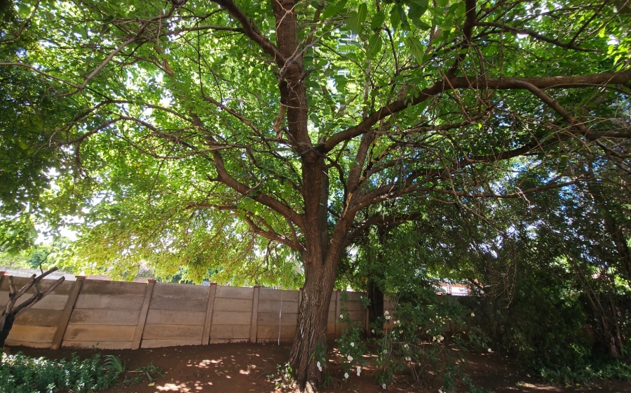 5 Bedroom Property for Sale in Universitas Free State